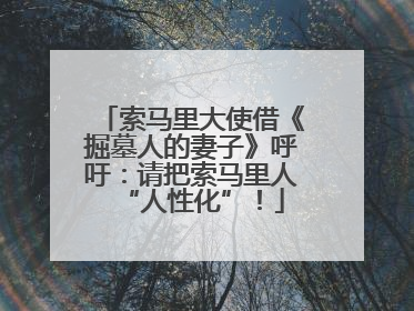 索马里大使借《掘墓人的妻子》呼吁：请把索马里人“人性化”！