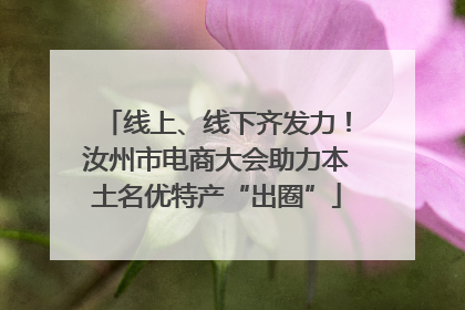 线上、线下齐发力！汝州市电商大会助力本土名优特产“出圈”