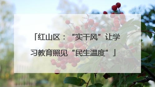 红山区：“实干风”让学习教育照见“民生温度”