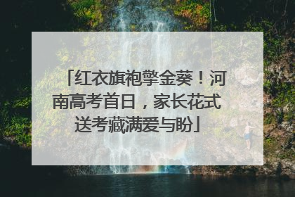 红衣旗袍擎金葵！河南高考首日，家长花式送考藏满爱与盼