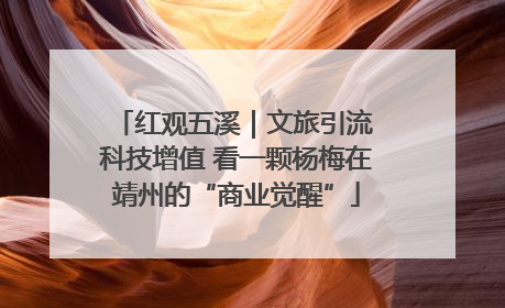 红观五溪｜文旅引流 科技增值 看一颗杨梅在靖州的“商业觉醒”