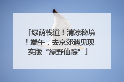 绿荫栈道！清凉秘境！端午，去京郊遇见现实版“绿野仙踪”