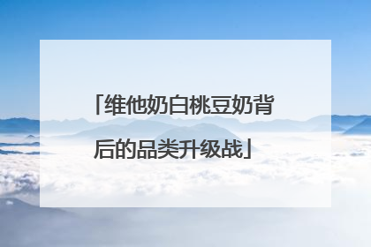 维他奶白桃豆奶背后的品类升级战