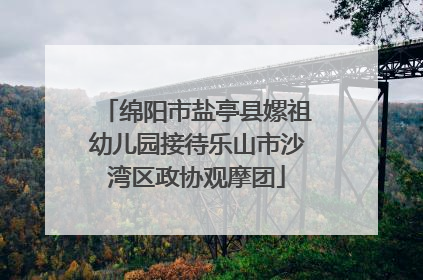 绵阳市盐亭县嫘祖幼儿园接待乐山市沙湾区政协观摩团