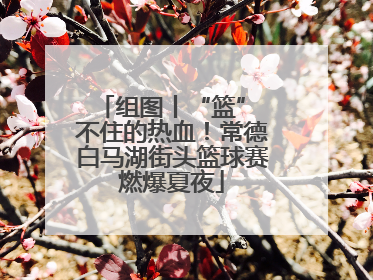 组图丨“篮” 不住的热血！常德白马湖街头篮球赛燃爆夏夜