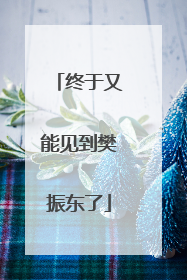 终于又能见到樊振东了