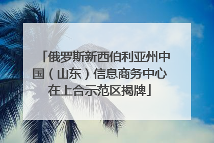俄罗斯新西伯利亚州中国（山东）信息商务中心在上合示范区揭牌