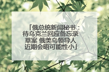 俄总统新闻秘书：待乌克兰回应备忘录草案 俄美乌领导人近期会晤可能性小