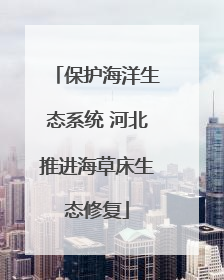 保护海洋生态系统 河北推进海草床生态修复