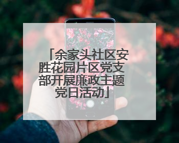 余家头社区安胜花园片区党支部开展廉政主题党日活动