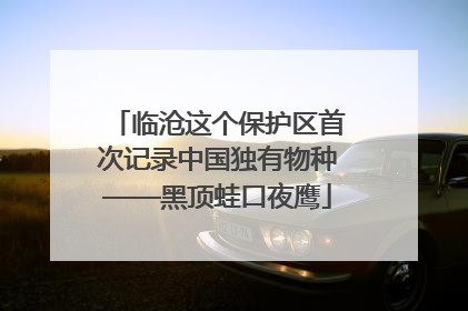 临沧这个保护区首次记录中国独有物种——黑顶蛙口夜鹰