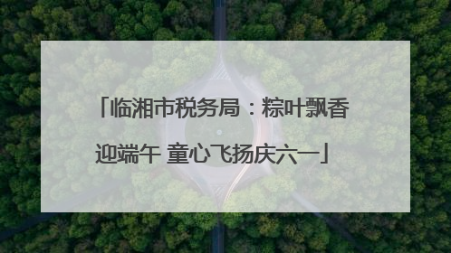 临湘市税务局：粽叶飘香迎端午 童心飞扬庆六一