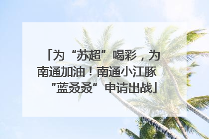 为“苏超”喝彩，为南通加油！南通小江豚“蓝叒叒”申请出战