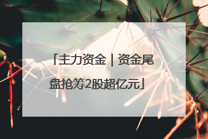 主力资金｜资金尾盘抢筹2股超亿元