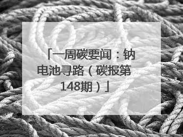 一周碳要闻：钠电池寻路（碳报第148期）