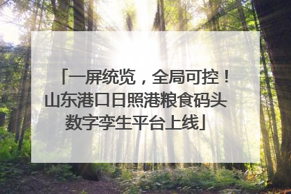 一屏统览，全局可控！山东港口日照港粮食码头数字孪生平台上线