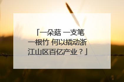 一朵菇 一支笔 一根竹 何以撬动浙江山区百亿产业？