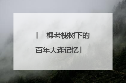 一棵老槐树下的百年大连记忆