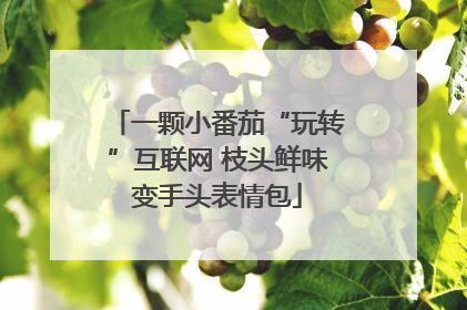 一颗小番茄“玩转”互联网 枝头鲜味变手头表情包
