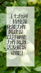 七台河：持续深化能力作风建设 以过硬能力作风激活发展新动能