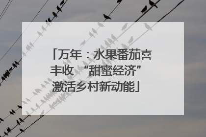 万年：水果番茄喜丰收 “甜蜜经济”激活乡村新动能