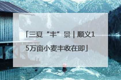 三夏“丰”景｜顺义15万亩小麦丰收在即