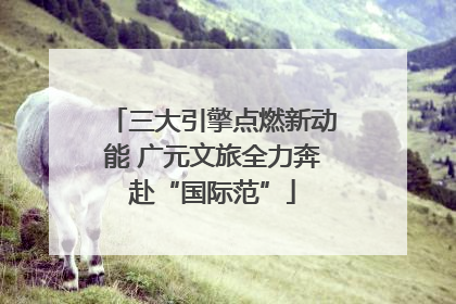 三大引擎点燃新动能 广元文旅全力奔赴“国际范”
