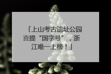 上山考古遗址公园喜提“国字号”，浙江唯一上榜！