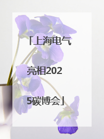 上海电气亮相2025碳博会