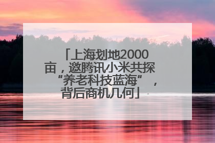 上海划地2000亩，邀腾讯小米共探“养老科技蓝海”，背后商机几何