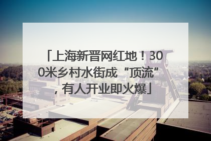 上海新晋网红地！300米乡村水街成“顶流”，有人开业即火爆