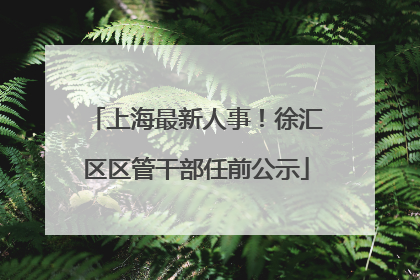 上海最新人事！徐汇区区管干部任前公示