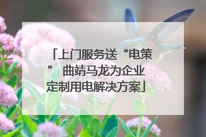 上门服务送“电策” 曲靖马龙为企业定制用电解决方案