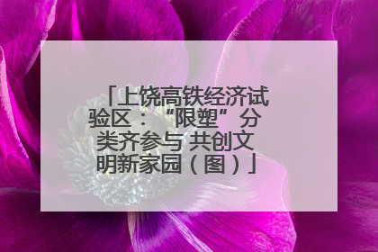 上饶高铁经济试验区：“限塑”分类齐参与 共创文明新家园（图）