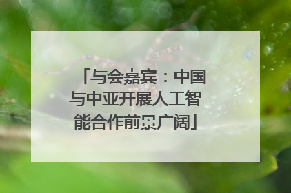 与会嘉宾：中国与中亚开展人工智能合作前景广阔