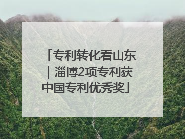 专利转化看山东｜淄博2项专利获中国专利优秀奖