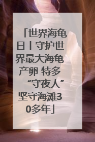 世界海龟日丨守护世界最大海龟产卵 特多“守夜人”坚守海滩30多年