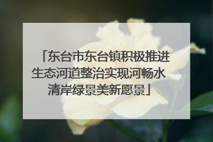 东台市东台镇积极推进生态河道整治实现河畅水清岸绿景美新愿景