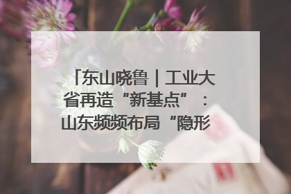 东山晓鲁｜工业大省再造“新基点”：山东频频布局“隐形冠军”背后