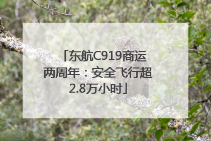 东航C919商运两周年：安全飞行超2.8万小时