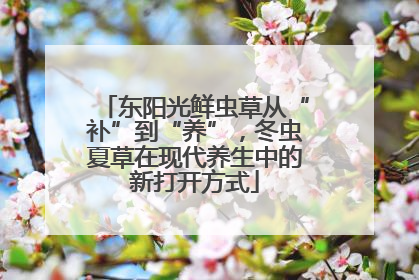 东阳光鲜虫草从“补”到“养”，冬虫夏草在现代养生中的新打开方式