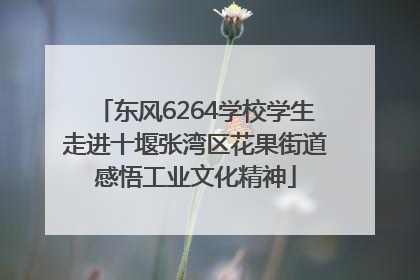 东风6264学校学生走进十堰张湾区花果街道感悟工业文化精神
