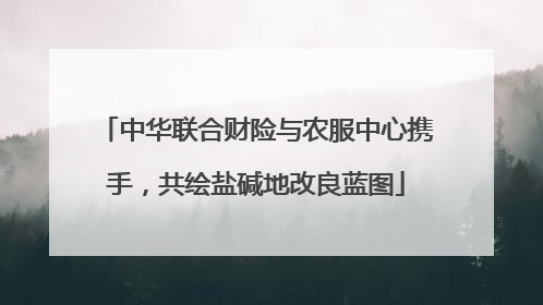 中华联合财险与农服中心携手，共绘盐碱地改良蓝图