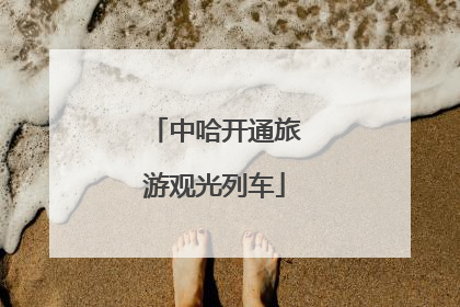 中哈开通旅游观光列车
