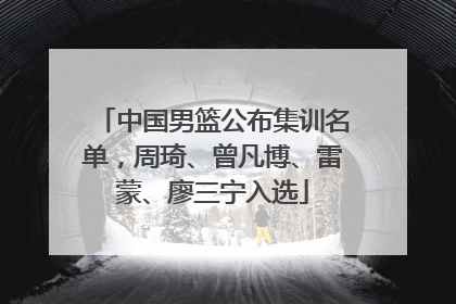 中国男篮公布集训名单，周琦、曾凡博、雷蒙、廖三宁入选
