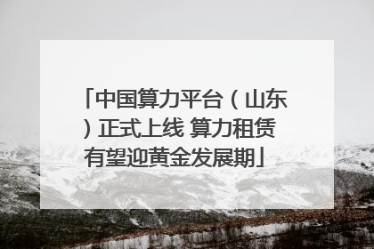 中国算力平台（山东）正式上线 算力租赁有望迎黄金发展期