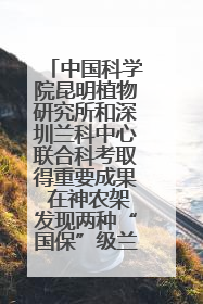 中国科学院昆明植物研究所和深圳兰科中心联合科考取得重要成果 在神农架发现两种“国保”级兰花