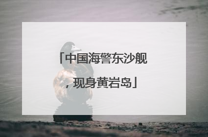 中国海警东沙舰，现身黄岩岛
