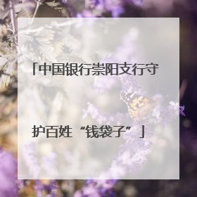 中国银行崇阳支行守护百姓“钱袋子”