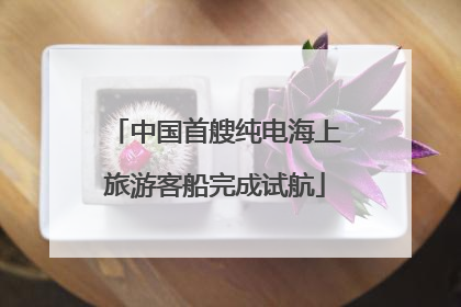 中国首艘纯电海上旅游客船完成试航